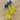 Three clear glass 2ml spray vials filled with yellow perfume and topped with black caps, arranged diagonally on a light brown wooden surface.